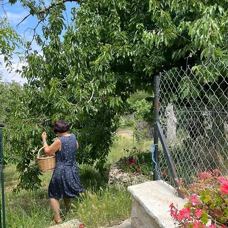 בית נופש Ariti'S House